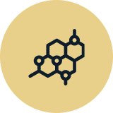 Hormone Balancing icon — SomneX Health